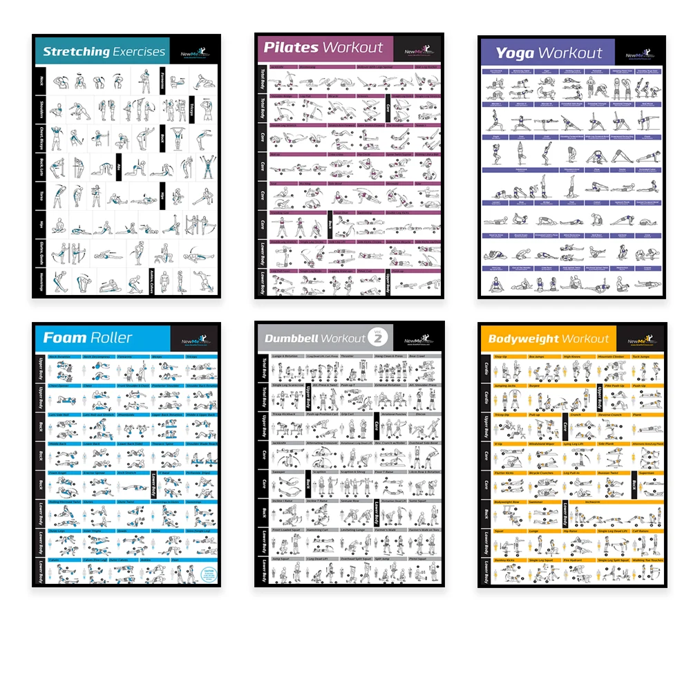 Body Exercise Training Chart W - Sports Equipment Poster ulasan dan harga