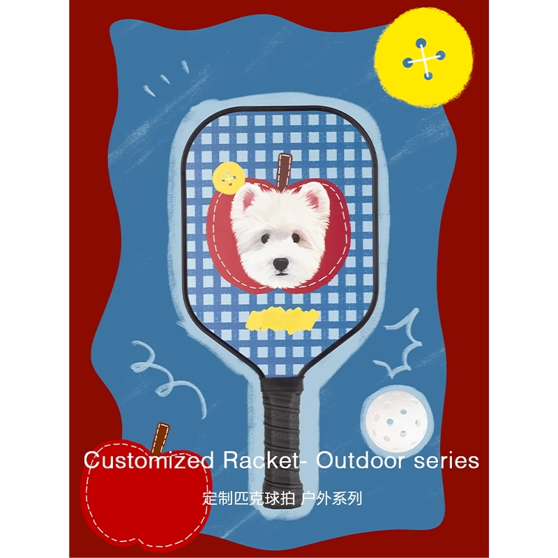 ZHAYA Pickleball Paddle T300 C - Sports Equipment Photos ulasan dan harga