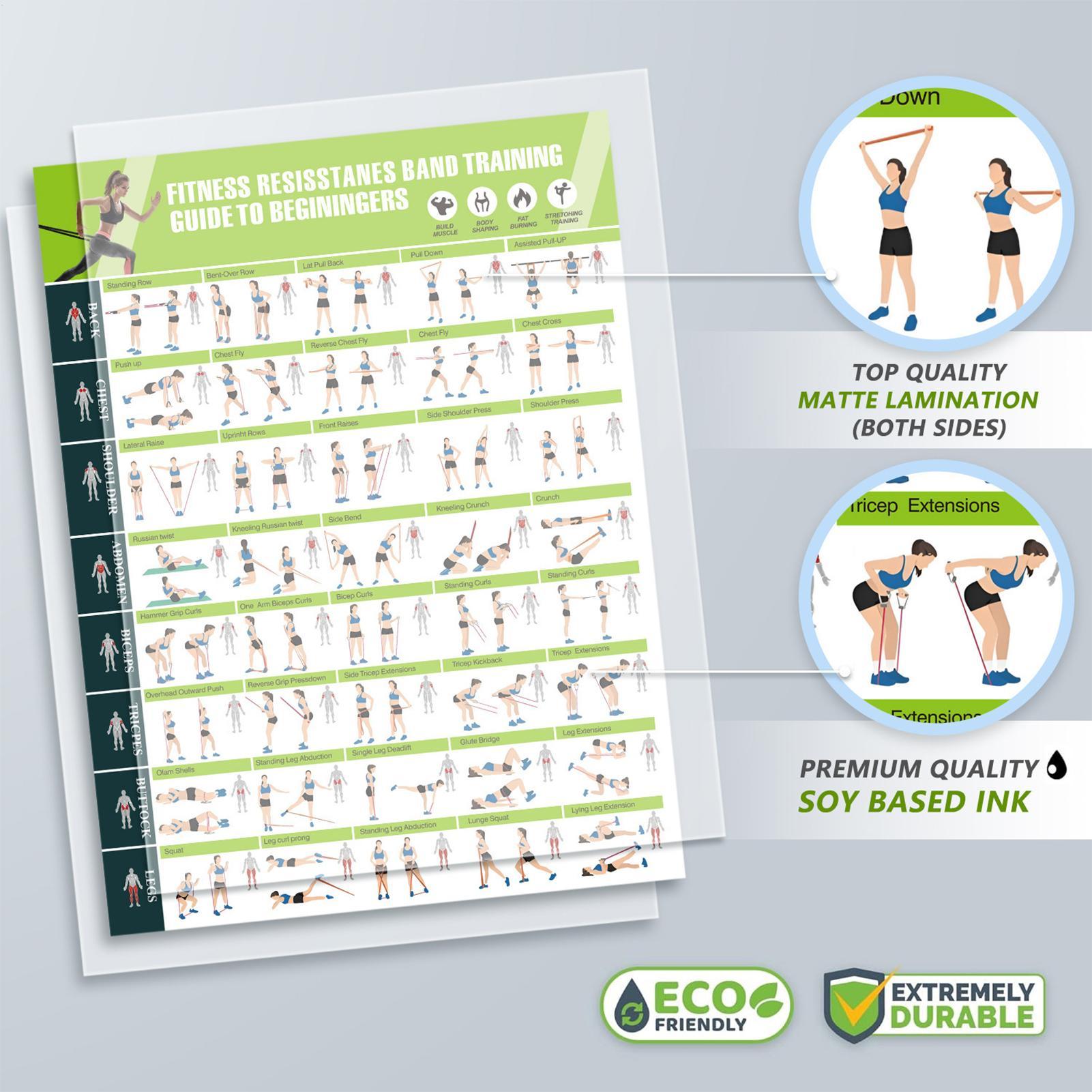 Workout Posters with Resistanc - Sports Equipment Poster ulasan dan harga